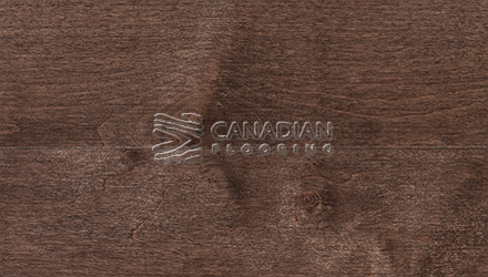 Solid Hard Maple, Superior Flooring,  3-1/4", Premier <br>Color:  Ciocoa