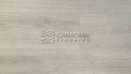 CANFLOOR BOUTIQUE 12.0 mmColor: 98005 Laminate flooring