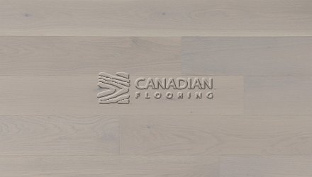 Engineered Euro White Oak, 6" x 3/4", Brushed Finish Color: Fortino Engineered flooring