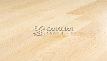 Solid Hard Maple, Panache, 3-1/4", Color: Natural