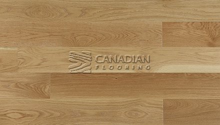 Engineered Euro White Oak, 6" x 3/4", Brushed Finish Color: Natural Engineered flooring