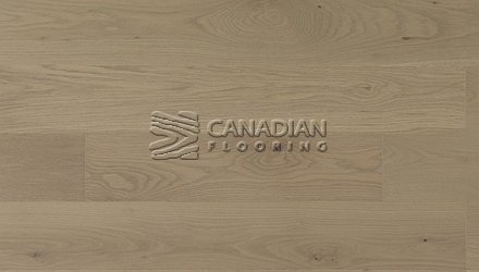 Engineered Euro White Oak, 6" x 3/4", Brushed Finish Color: Sand Castle Engineered flooring