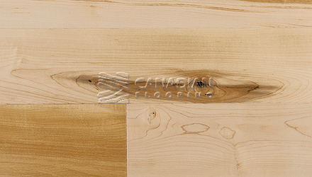 Solid Hard Maple, Superior Flooring, 4-1/4",  Premier <br> Color: Natural