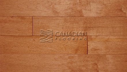 Solid Hard Maple, Panache, 3-1/4", Color: Auburn