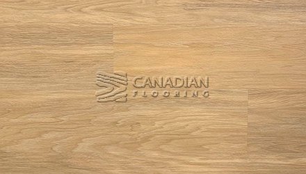Luxury Vinyl Flooring, Canfloor, Montreal collection,  8.0 mm, with 2.0 mm iiC 73/STC 72 underpad<br>Color: 6203