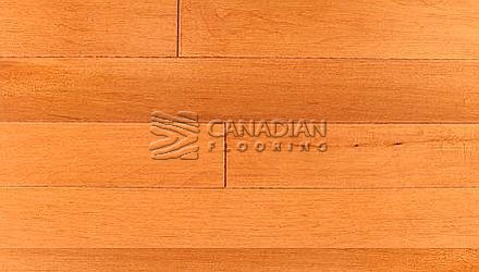 Solid Hard Maple, Panache, 3-1/4", Color: Cinnamon Hardwood flooring