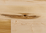 Solid Hard Maple, Superior Flooring, 4-1/4",  Premier  Color: Natural