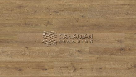 Grandeur, XXL Collection, Water Resistant, 10" x 12 mm  Color: Kilimanjaro Laminate flooring