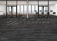 Carpet Tile Flooring Warsaw 9190 SeriesColor: Rockland

                                 Carpet Tile Flooring Ajax