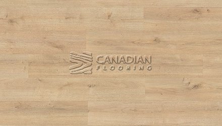 Grandeur, XXL Collection, Water Resistant, 10" x 12 mm  Color: Mont Blanc Laminate flooring