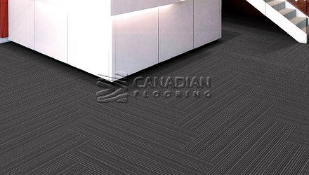 Carpet Tile Flooring Elmvale 7701 Series<br>Color: Midnight Velvet