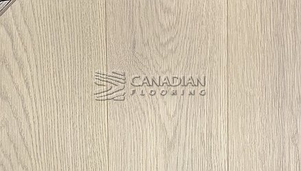 Engineered American White Oak, 6" x 3/4", Brushed Finish Color: Moon Light Engineered flooring