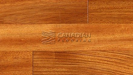 Solid Brazilan Cherry (Jatoba), SUNCA,  4-1/2" x 3/4", <br> Color:  Natural