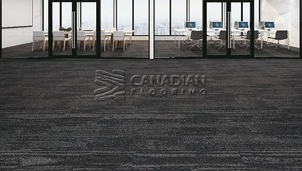 Carpet Tile Flooring Warsaw 9190 SeriesColor: Rockland Premium Carpet Tiles