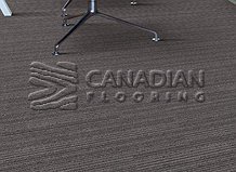 Carpet Tile Flooring Elmvale 7701 SeriesColor: Flint

                                 Carpet Tile Flooring Abbotsford