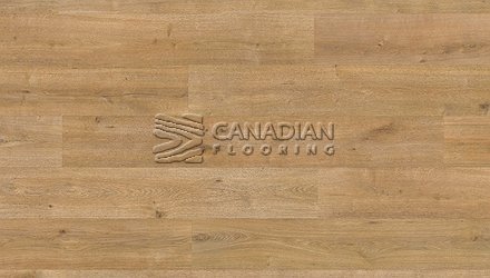 Grandeur, XXL Collection, Water Resistant, 10" x 12 mm  Color: Denali Laminate flooring
