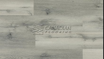 Luxury Vinyl Flooring, Purelux, Ecolux Series, 5 mm, Color: Jasmine