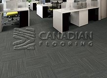 Carpet Tile Flooring Canmore 2200 SeriesColor: Stormy

                                 Carpet Tile Flooring Abbotsford