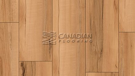 Luxury Vinyl Flooring, Homes Pro, Paris, 5.5 mm, Color: Ponca Vinyl flooring