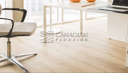 Fuzion Euro Classic 8.0 mm Color: Shady Acres Laminate flooring