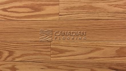 Solid Red Oak,  Panache, 3-1/4"<br>Color: Honey