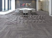 Carpet Tile Flooring Warsaw 9190 SeriesColor: Leduc

                                 Carpet Tile Flooring Montreal
