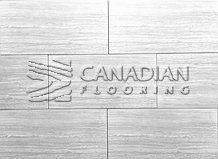 Matte Porcelain, 12x24, Color:  Escarpment Silver
                                 Canfloor Boutique Porcelain & Ceramic Tiles