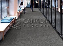 Carpet Tile Flooring  Odessa 7601 SeriesColor: Malt

                                 Carpet Tile Flooring Montreal