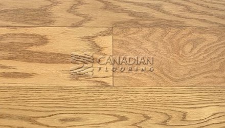 Oak Click Flooring5.0" x 1/2" Color: Golden Engineered flooring