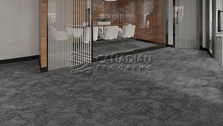 Carpet Tile Flooring Bala Bay 3000 Series<br>Color: Brome