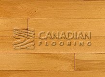 Solid Hard Maple, Panache, 3-1/4", Color:   Bronze

                                 Hardwood Flooring White Rock