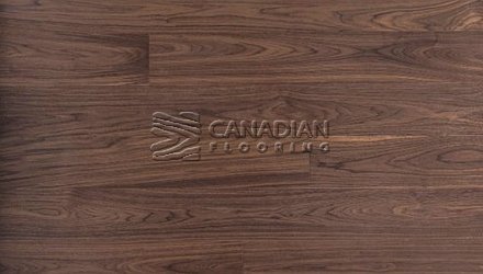 Engineered American Black Walnut, 6" x 3/4", Brushed Finish Color: Natural Engineered flooring