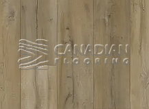 Luxury Vinyl Flooring, Woden Diamond, 7.0 mm, Color: 704-Trail Bay

                                 Vinyl Flooring Moncton