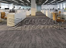 Carpet Tile Flooring Warsaw 9190 SeriesColor: Rustico

                                 Carpet Tile Flooring Montreal