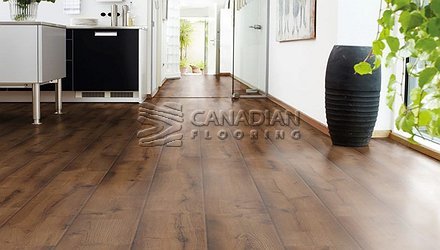 Fuzion Euro Classic 8.0 mm Color: Sandy lane Laminate flooring