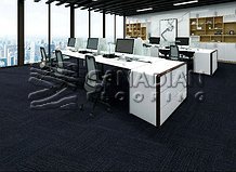 Carpet Tile Flooring Canmore 2200 SeriesColor: Midnight Sky

                                 Carpet Tile Flooring Abbotsford