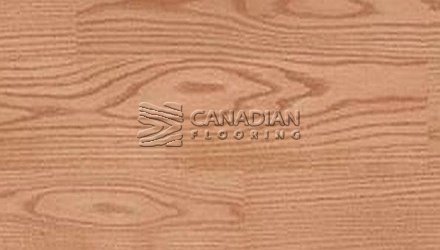 Engineered Red Oak, Biyork Material, 6-1/2" x 3/4" Color: Zing Engineered flooring