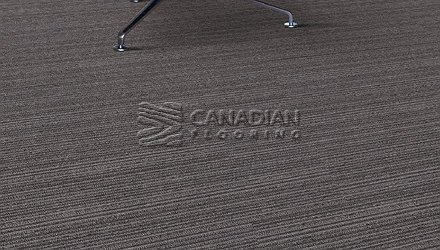 Carpet Tile Flooring Elmvale 7701 SeriesColor: Flint Premium Carpet Tiles