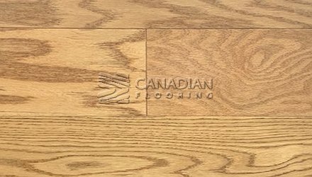 Engineered Oak Flooringg5.0" x 1/2" Color: Golden Engineered flooring