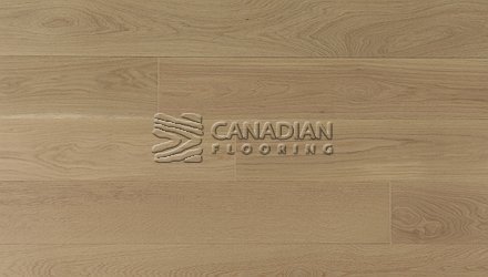 Engineered Euro White Oak, 5-2/3" x 3/4", Brushed Finish Color: Day Break Engineered flooring