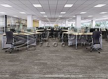 Carpet Tile Flooring Warsaw 9190 SeriesColor: Quinte

                                 Carpet Tile Flooring Abbotsford