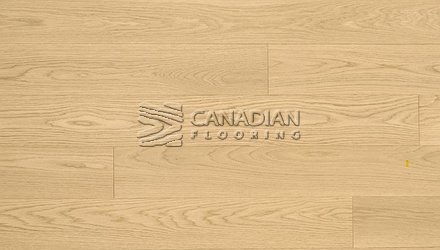 Engineered Euro White Ash, 6" x 3/4", Brushed Finish<br> Color: Natural
