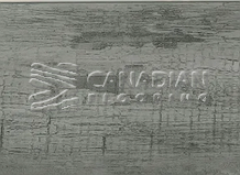 Luxury Vinyl Flooring, Fuzion, 6.5 mm, Color: Kapsa Cave

                                 Vinyl Flooring Moncton