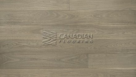 Engineered American Black Walnut, 7.0" or 7-1/2" x 3/4", Brushed Finish Color: Provence Engineered flooring