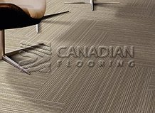 Carpet Tile Flooring Elmvale 7701 SeriesColor: Forest Grove

                                 Carpet Tile Flooring Abbotsford