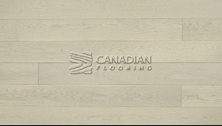 Engineered Click American White Oak, 5" x 1/2", Brushed Finish Color: Fortino Engineered flooring