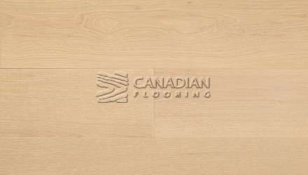 Engineered Euro White Oak, 6" x 3/4", Brushed Finish Color: Drift Wood Engineered flooring