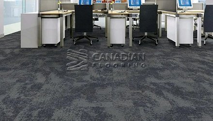 Carpet Tile Flooring Bala Bay 3000 Series<br>Color: Chestermere