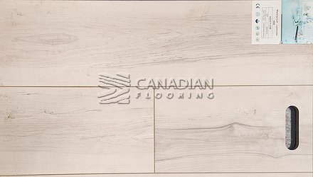 Evergreen Waterproof Laminate 7.7" x 12 mm  Color: 5086 Laminate flooring