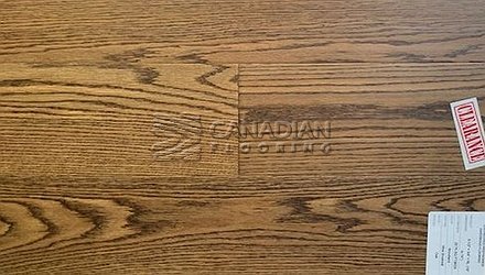 Euro Oak, 6.5" x 3/4", Brushed FinishColor:  Woodland Engineered flooring